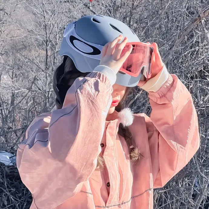 与凤飞