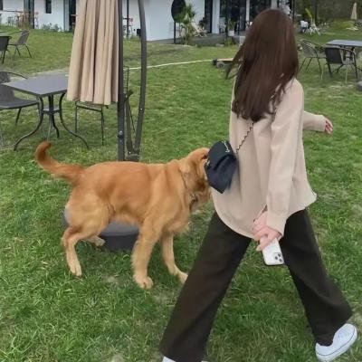 爱之物语